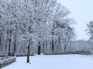 NL tuin winter sneeuw 2