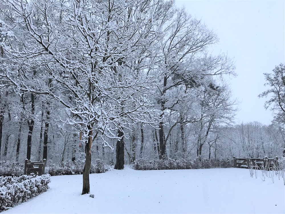 NL tuin winter sneeuw 2