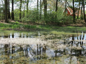 NatuurlijkLievelde voorjaar