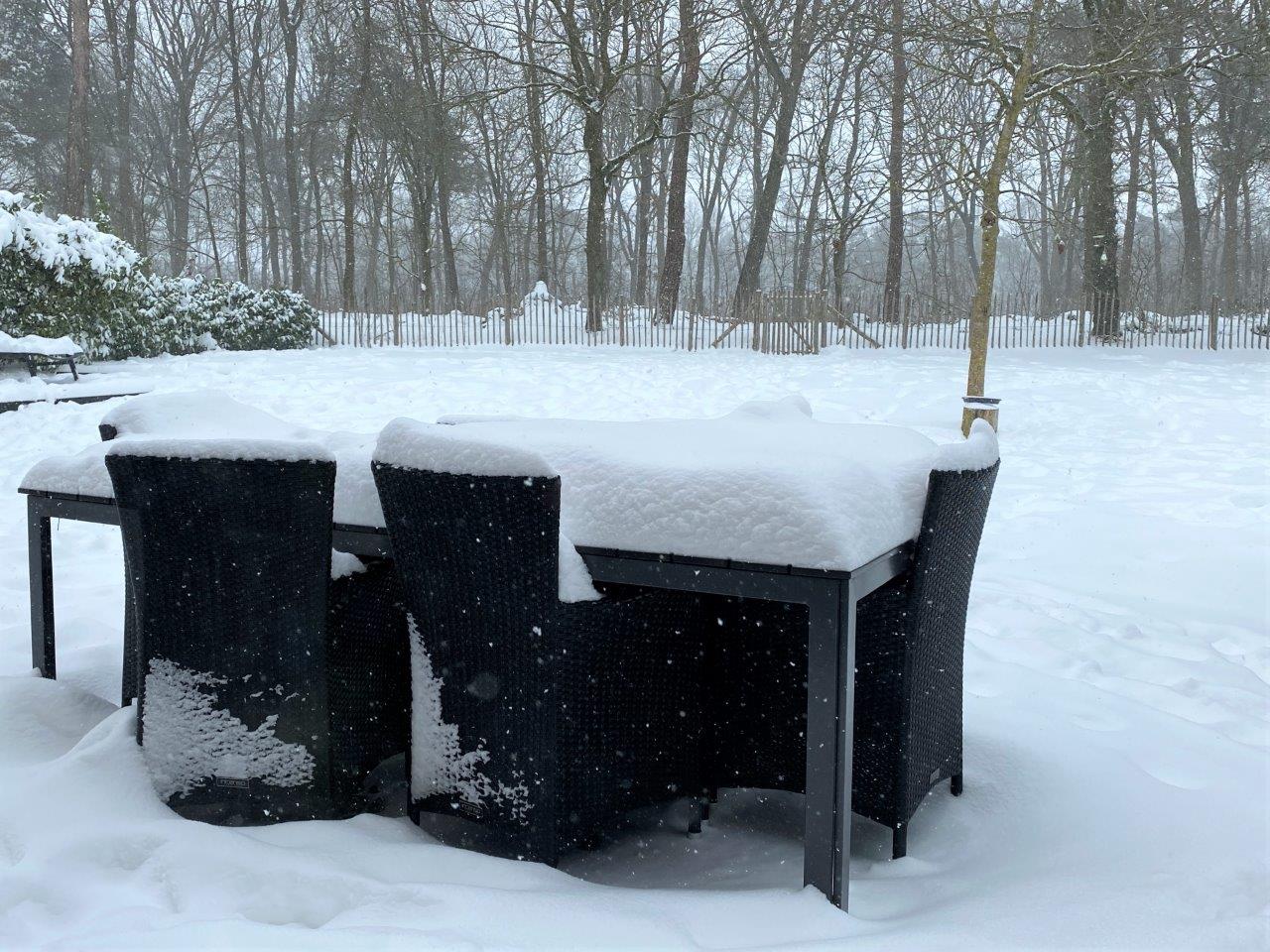 20210208_111016215_iOS