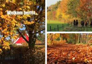LL Herfst-lievelde_klein zonder rand