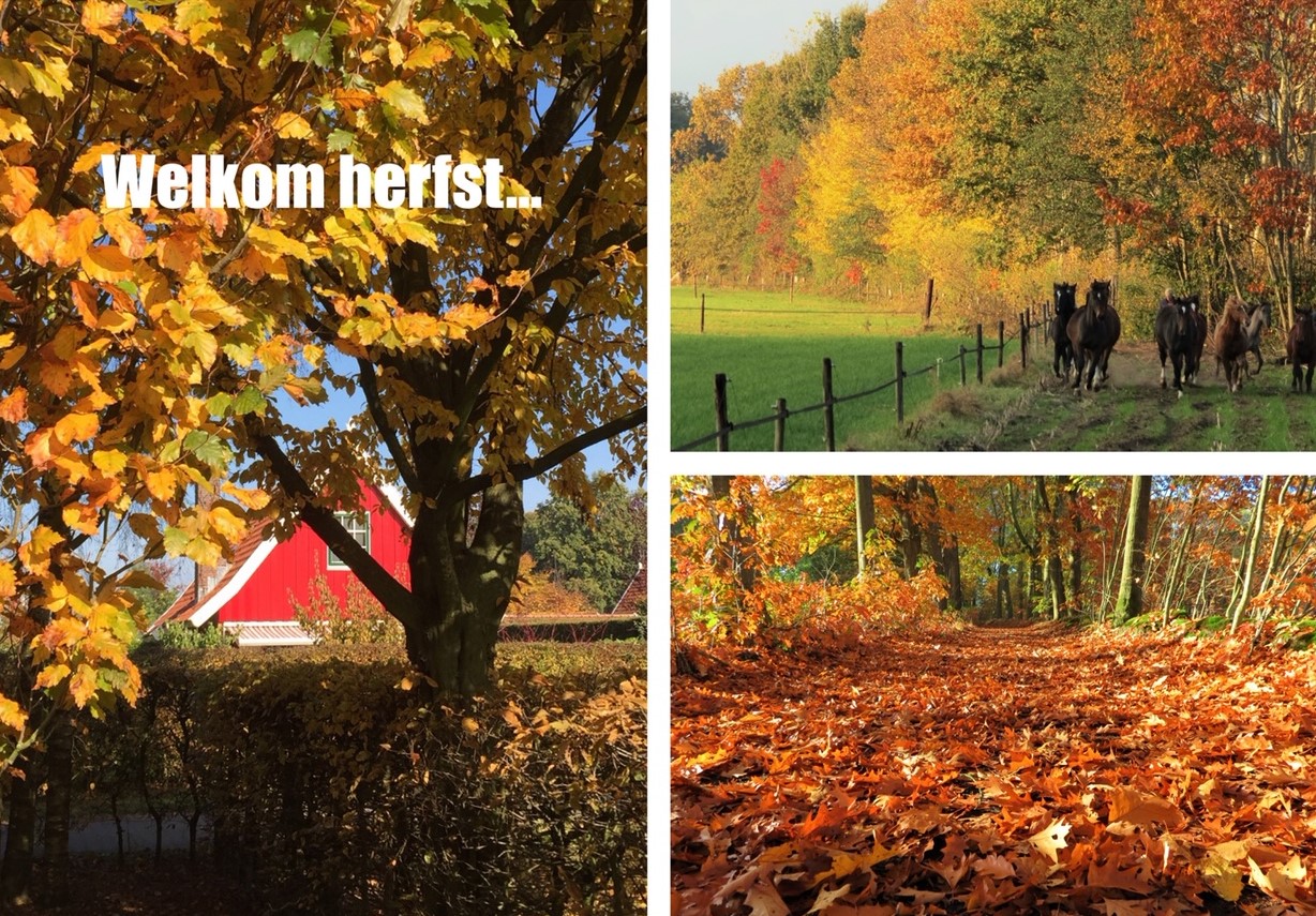 LL Herfst-lievelde_klein zonder rand