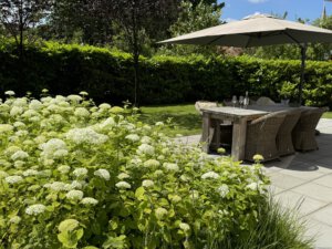 20240619_104329934_iOS