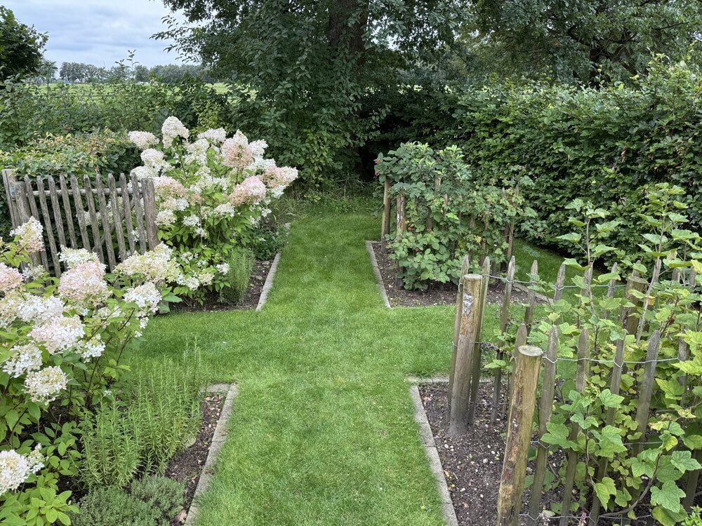 20240804_132603060_iOS