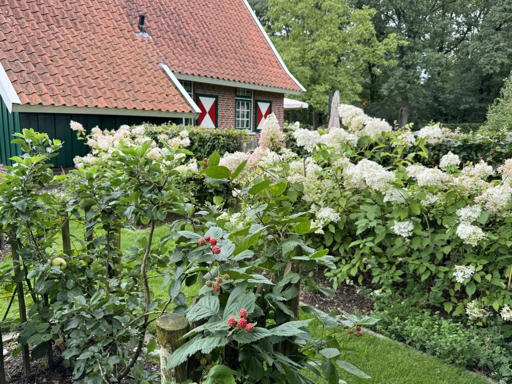 20240804_132851426_iOS