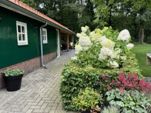 20240804_134200398_iOS