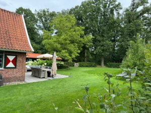 20240804_141928312_iOS