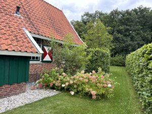 20240823_103314978_iOS