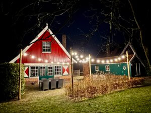 20250209_192307767_iOS